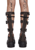 Constant Sunrise Knee High Sandals